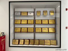 正轨天分、完美办